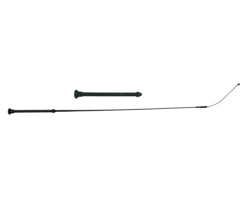 B3.jpg