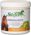 pol_pm_Mineralpaste-Stiefel-preparat-z-zielonej-gliny-na-stawy-miesnie-sciegna-i-wiezadla-3629_1 (1).jpg