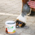 pol_pm_Mineralpaste-Stiefel-preparat-z-zielonej-gliny-na-stawy-miesnie-sciegna-i-wiezadla-3629_2.jpg