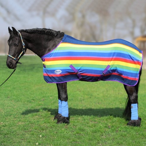 pol_pl_Derka-York-Rainbow-3080_1.jpg