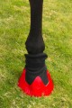 116638_Anwendungsbild__3210560_1271.jpg