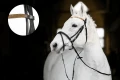 HorzePonyBridle_2.webp