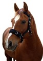 139418_cd9a.jpg