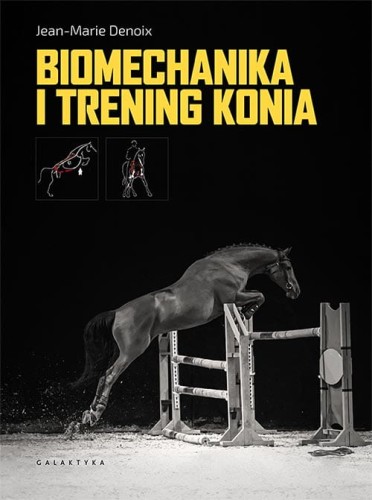 biomechanika_500_piks_rgb.jpg