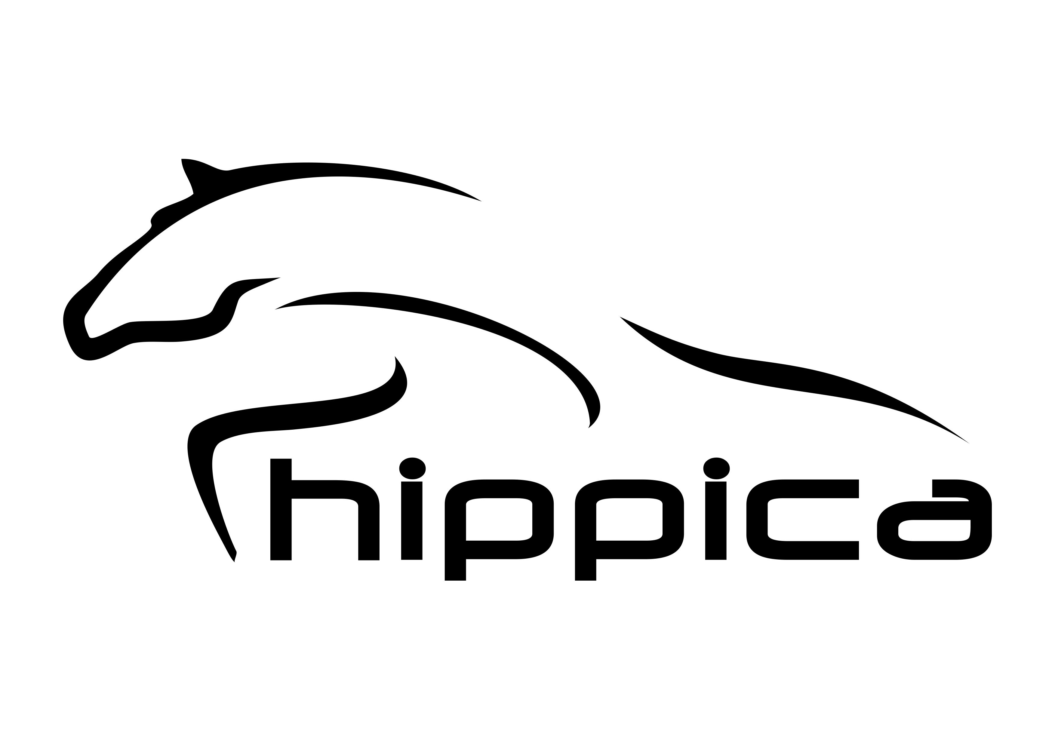 Hippica obuwie