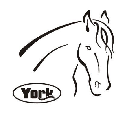 York